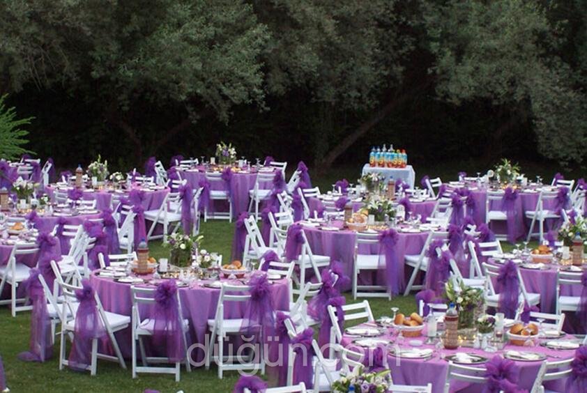 Gold Garden Pool & Wedding