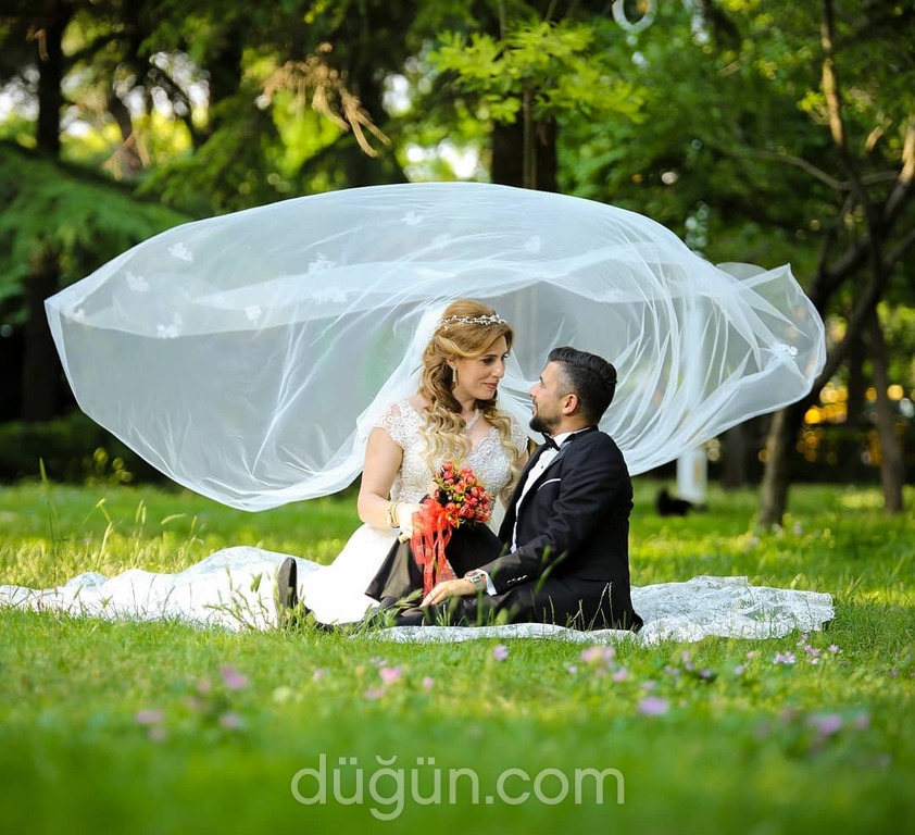 Kuzey Fotoğrafçılık