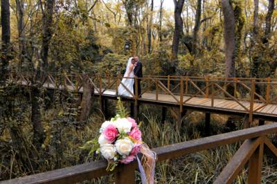 Napitex Photography