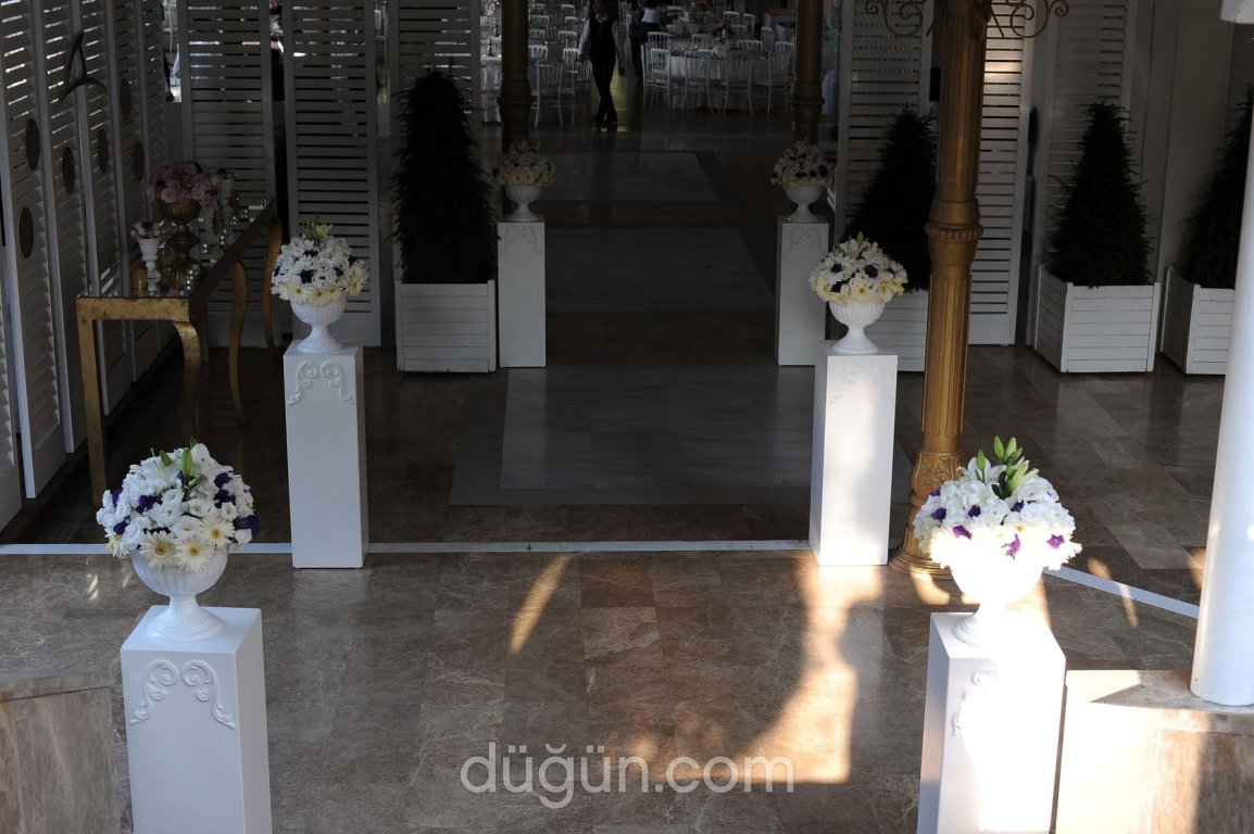 3 Bay Davet Organizasyon