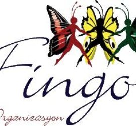 Fingo Müzik