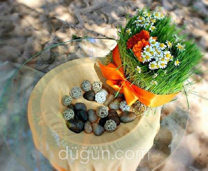 Md Wedding House