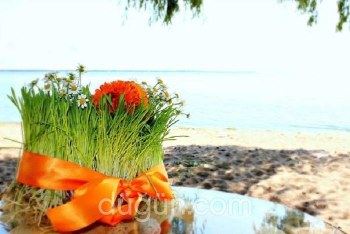 Md Wedding House