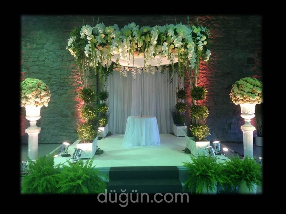 Md Wedding House