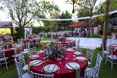 Mehmet Restaurant Dream Garden