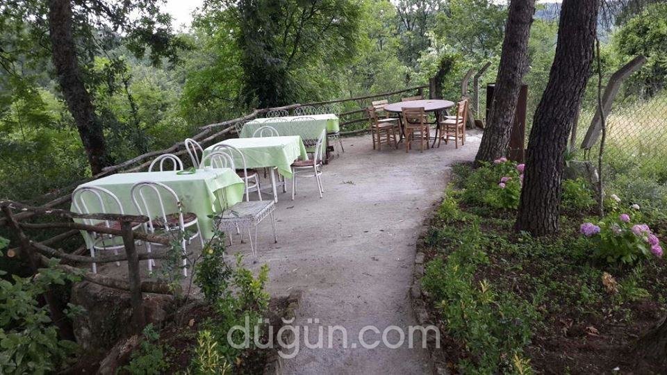 Doktor'un Evi