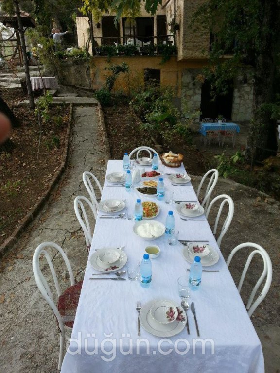 Doktor'un Evi