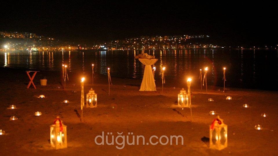 Dek Dizayn Organizasyon