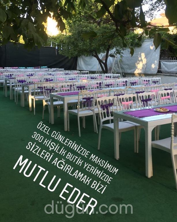 Karnaval Organizasyon