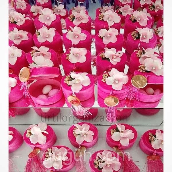 Tırtıl Organizasyon