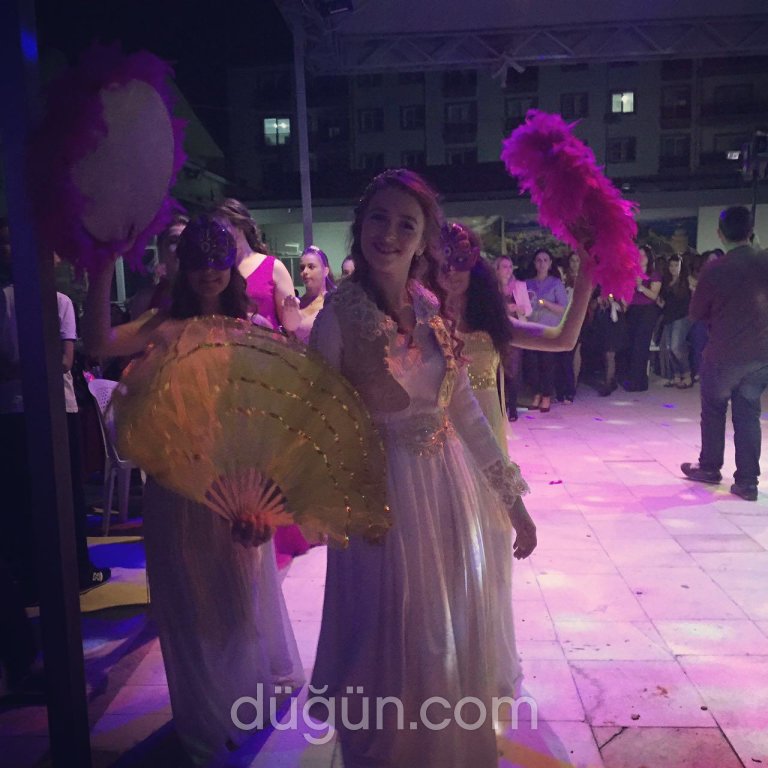 Dek Dizayn Organizasyon