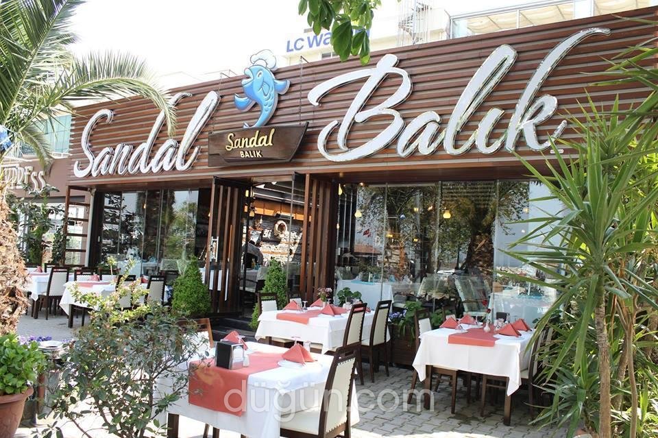 Sandal Balık