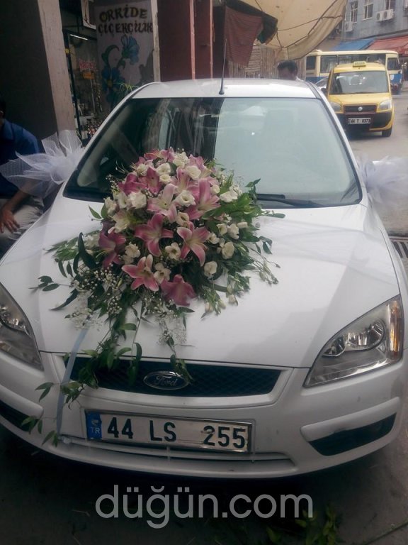 Orkide Çiçekçilik
