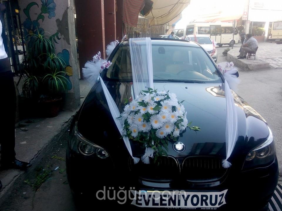 Orkide Çiçekçilik