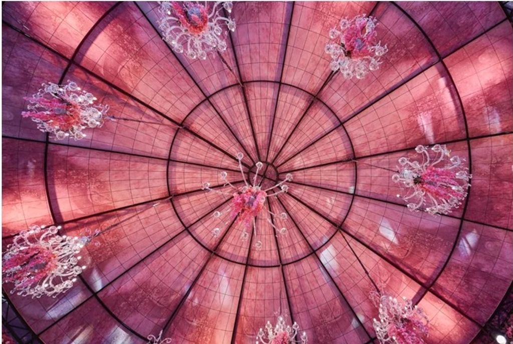 Inside Flowers