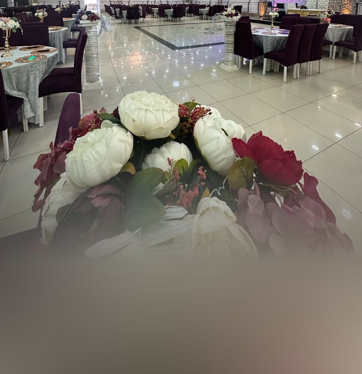 Salon Çınar
