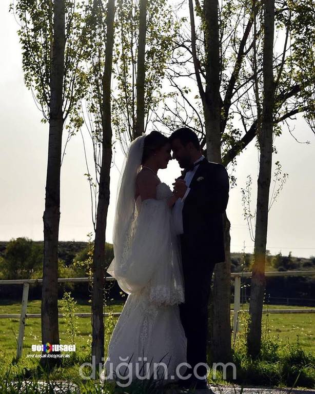 Gökkuşağı Fotoğrafçılık