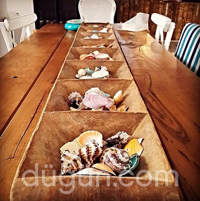 Deniz Kabuğu Balıkevi