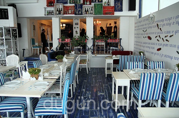 Deniz Kabuğu Balıkevi