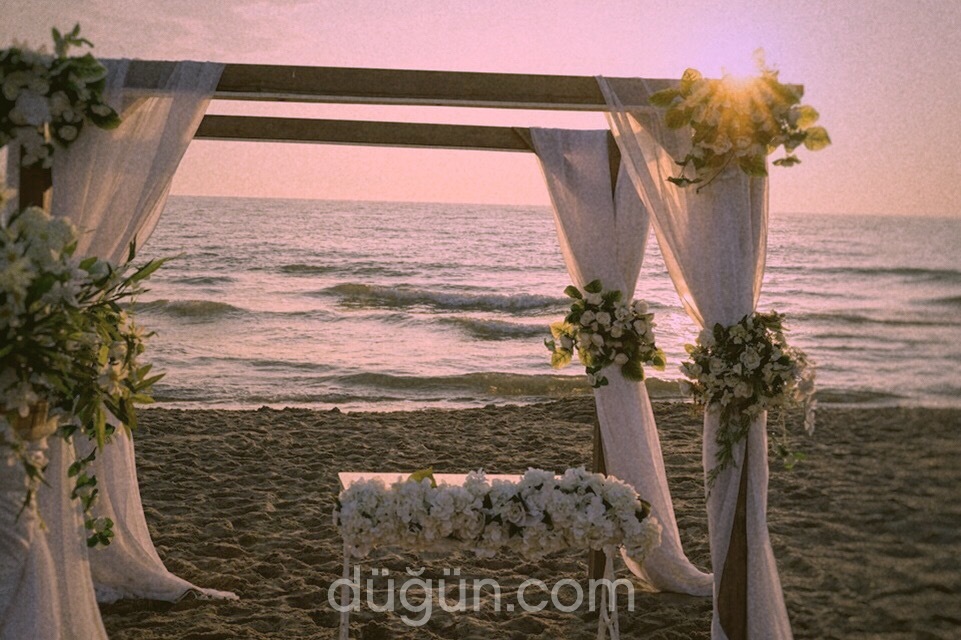 Artemis Beach Club