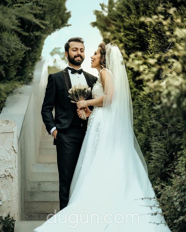 Papyrus Film & Fotoğraf