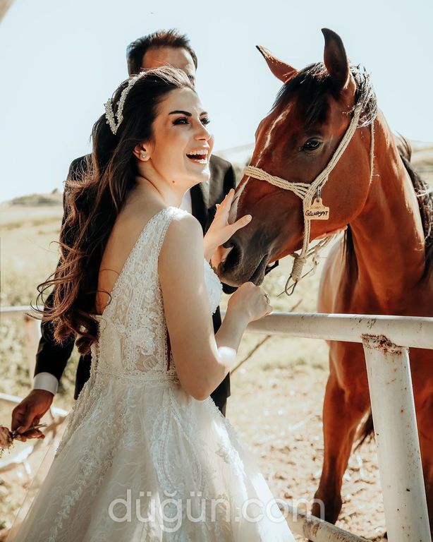 Papyrus Film & Fotoğraf