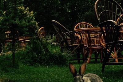 Ali Dayının Yeri Balık Restaurant