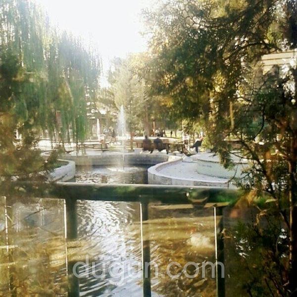 Ali Dayının Yeri Balık Restaurant Merkez