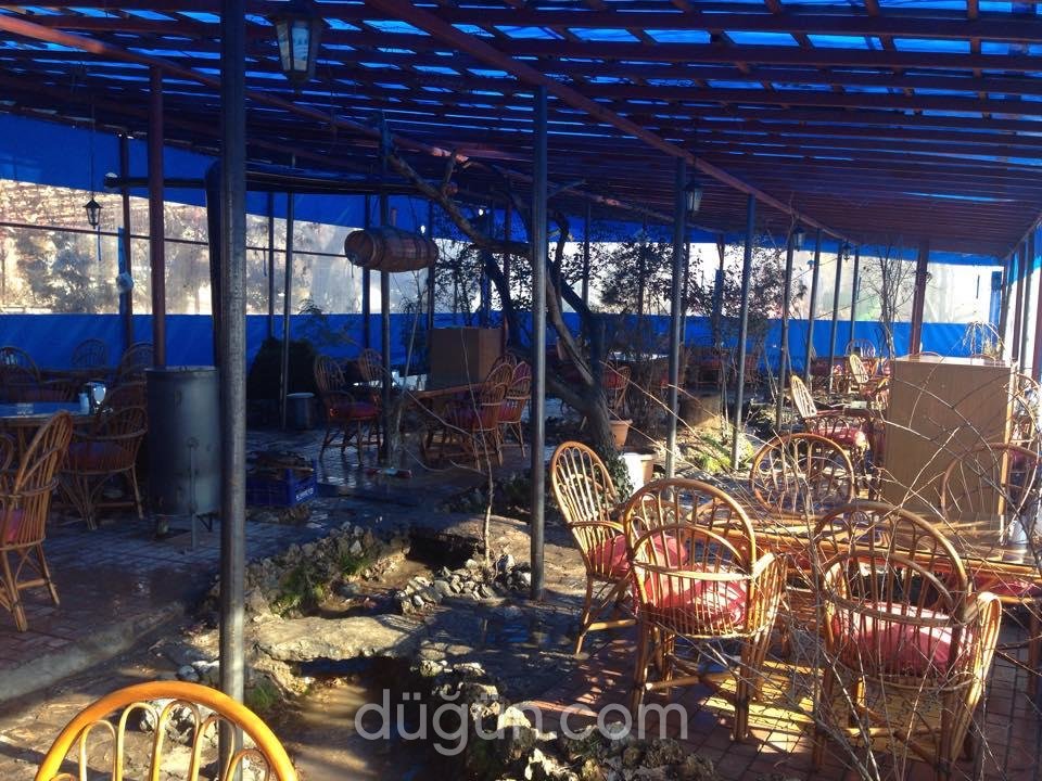 Ali Dayının Yeri Balık Restaurant Merkez