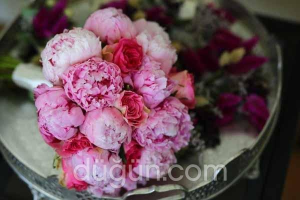 La Maison Des Fleurs