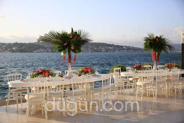 La Maison Des Fleurs