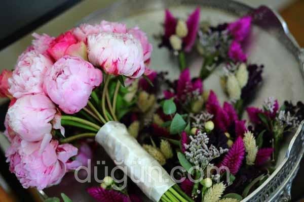 La Maison Des Fleurs