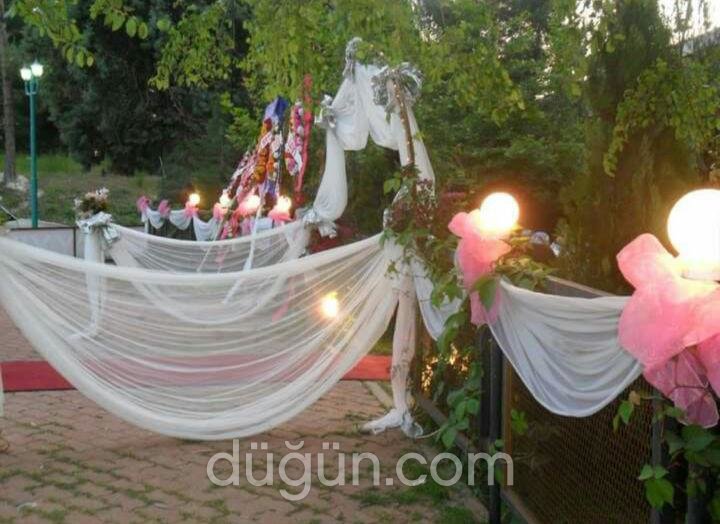 Alp Organizasyon Hizmetleri