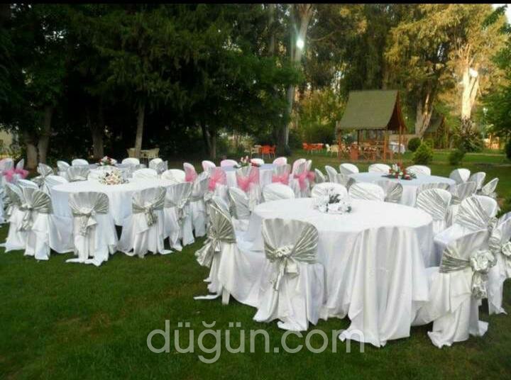 Alp Organizasyon Hizmetleri