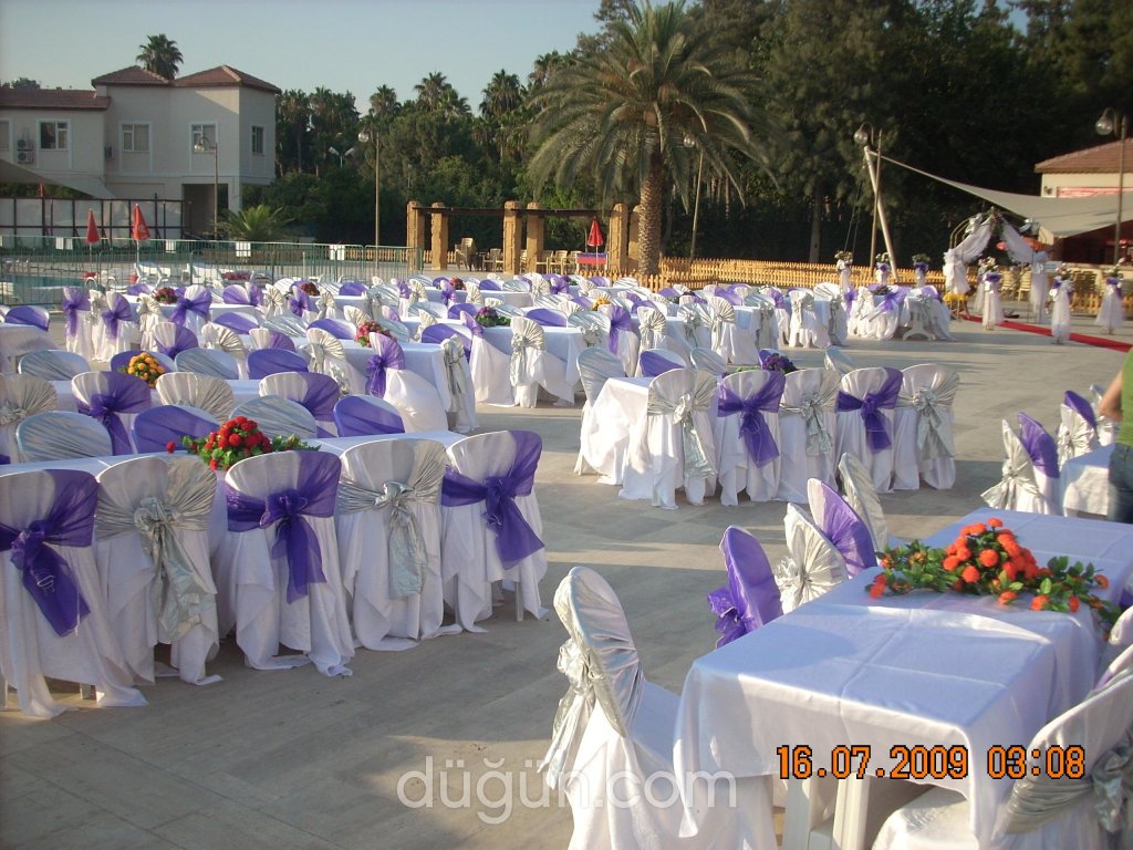 Alp Organizasyon Hizmetleri