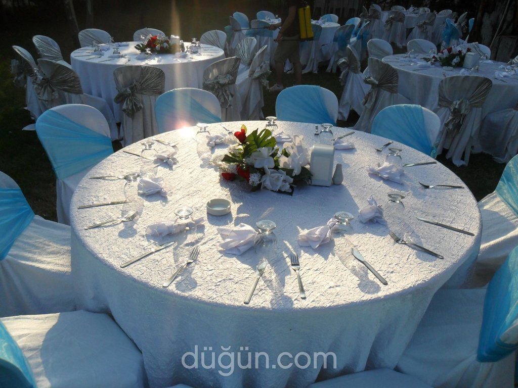 Alp Organizasyon Hizmetleri