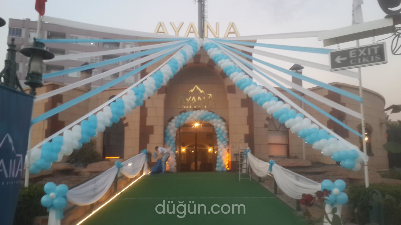 Alp Organizasyon Hizmetleri