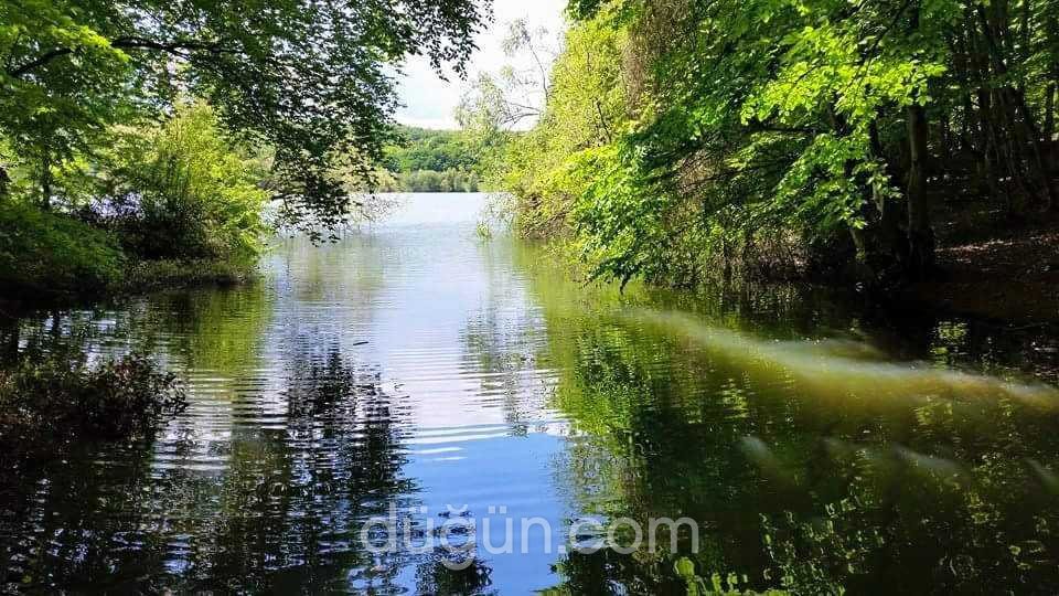 Sinop Yıldız Country