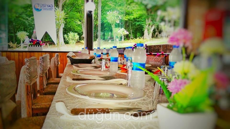 Sinop Yıldız Country