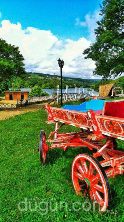 Sinop Yıldız Country