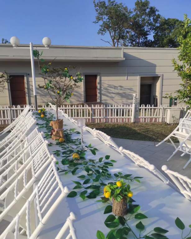 Peri Tozu Organizasyon