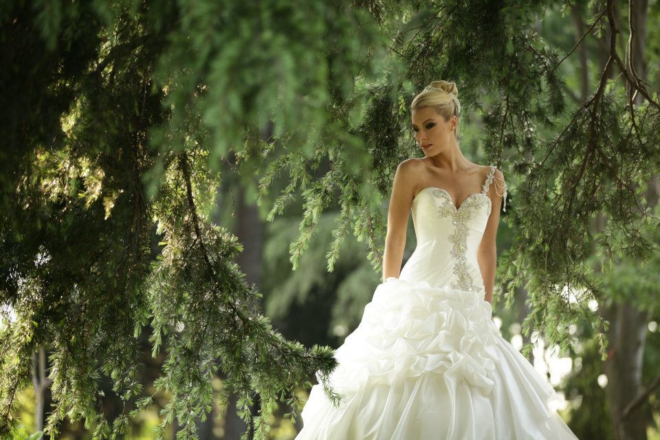 Şahin Moda
