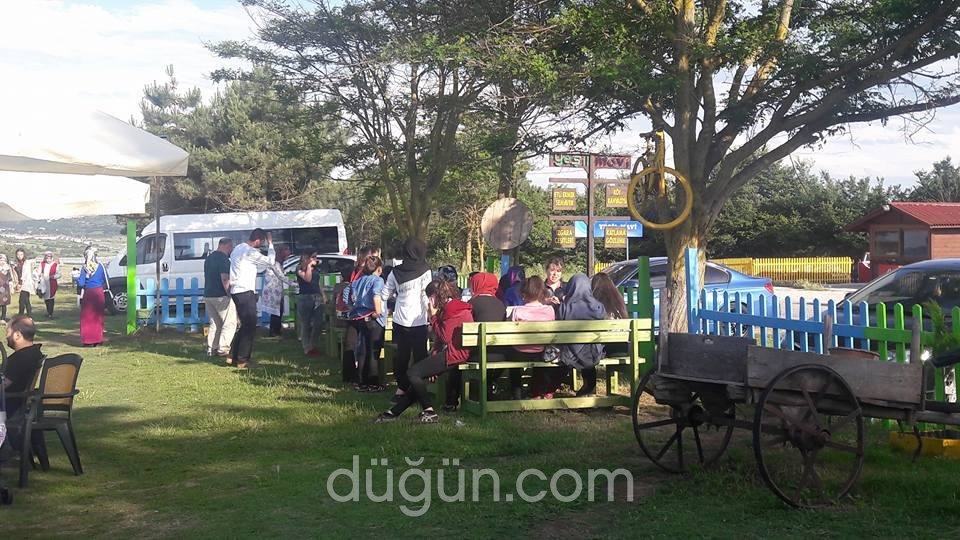 Yeşil Mavi Bahçeler