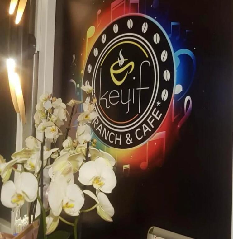 Damak Tadı Keyif Kafe