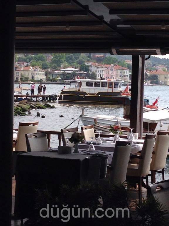 Deniz Yıldızı Çengelköy