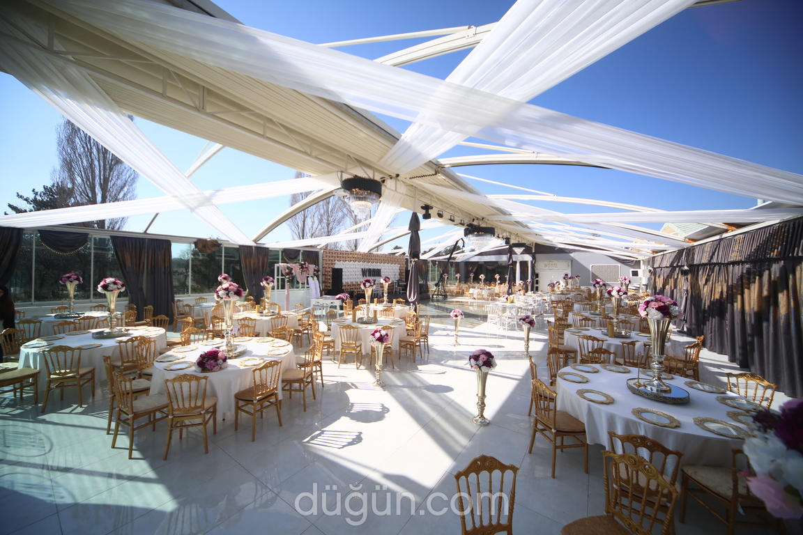 Wahal Wedding
