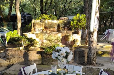 Çam Kır Düğünü