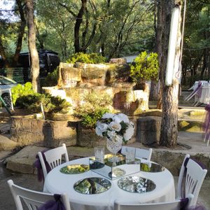 Çam Kır Düğünü