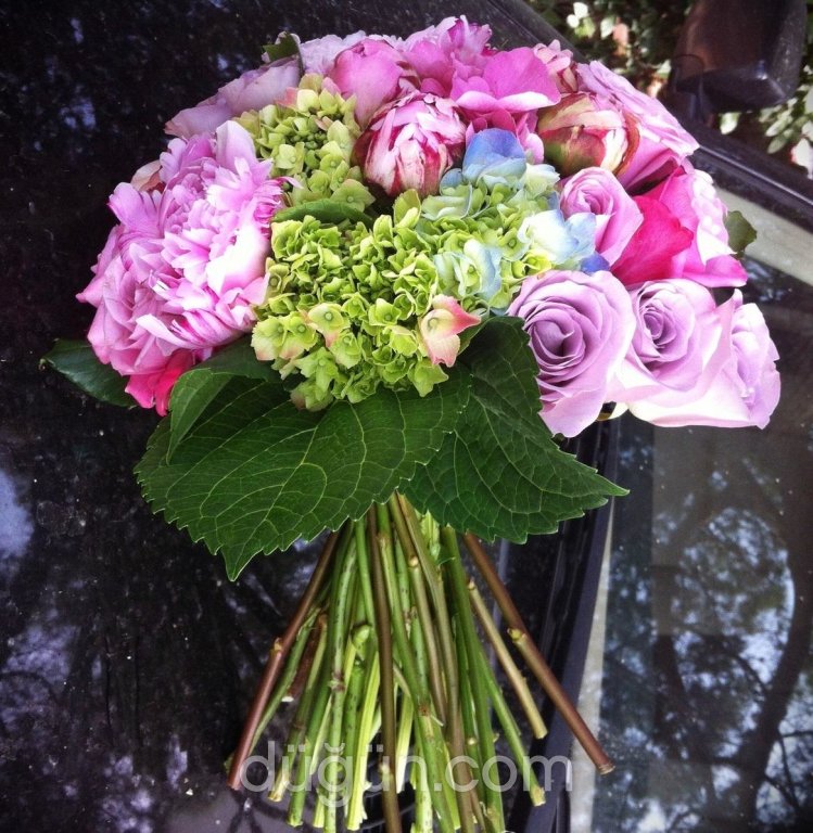 Daisy Flowers & Events