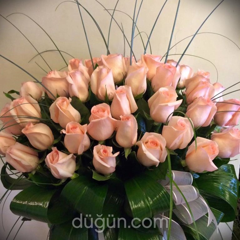 Daisy Flowers & Events